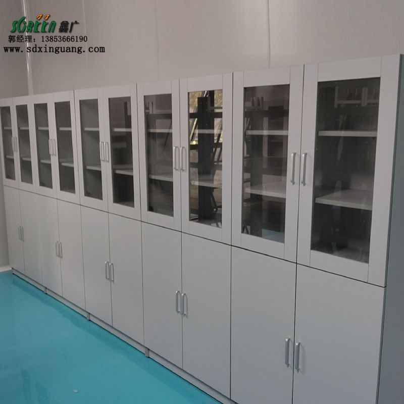 山東實(shí)驗(yàn)臺廠家耐酸堿藥品柜實(shí)驗(yàn)室試劑柜供應(yīng)